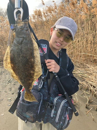 ヒラメの釣果