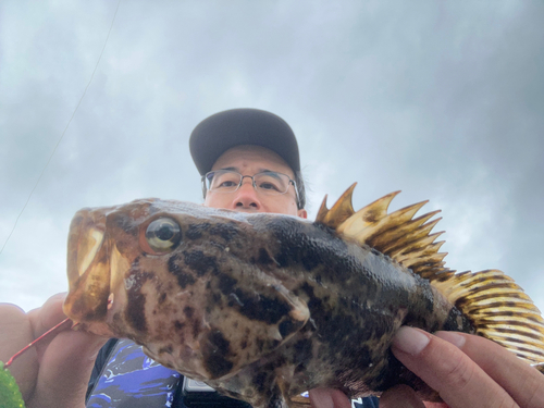 ベッコウゾイの釣果