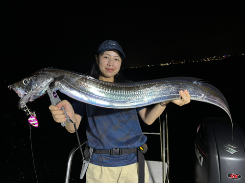 タチウオの釣果