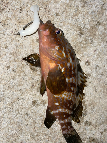 山の下海浜公園