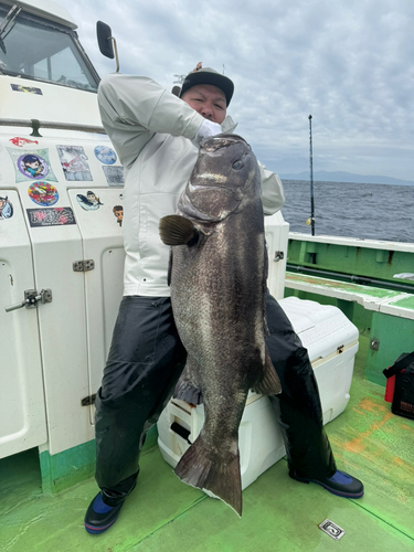 イシナギの釣果