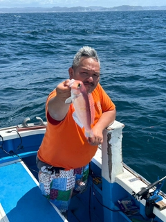 アカアマダイの釣果