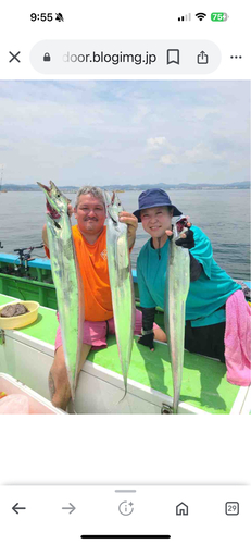 タチウオの釣果