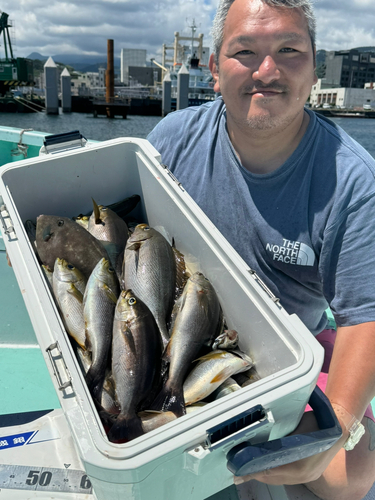 イサキの釣果