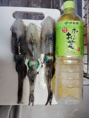 釣果