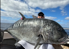 ロウニンアジの釣果