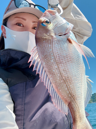 タイの釣果