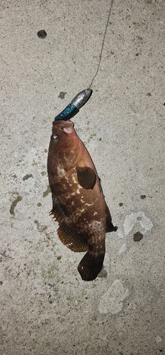 飯田湾