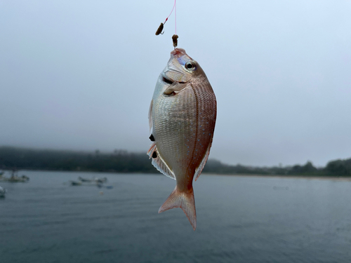 釣果