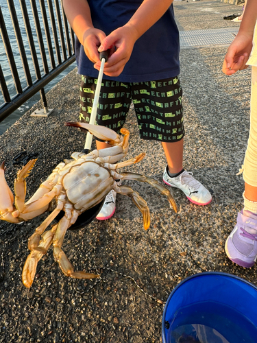 カニの釣果