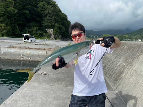 イナダの釣果