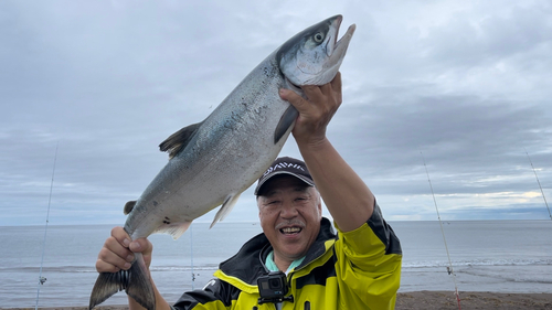 アキアジの釣果