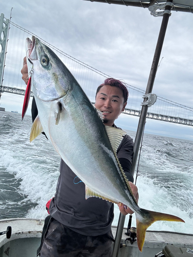 ブリの釣果