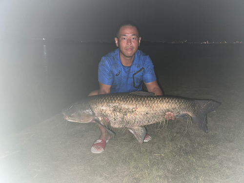 ソウギョの釣果