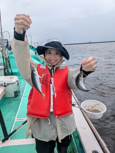 マアジの釣果