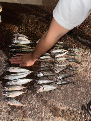 釣果