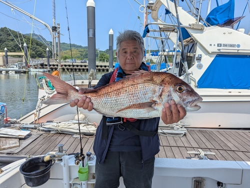 タイの釣果