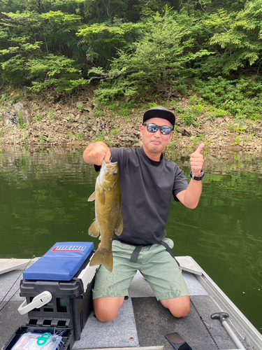 スモールマウスバスの釣果