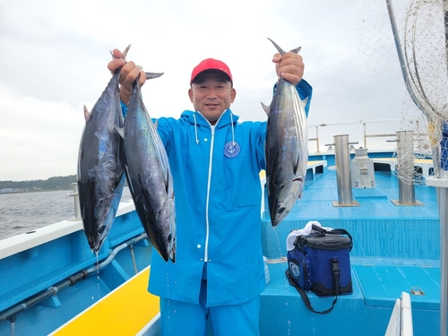 カツオの釣果