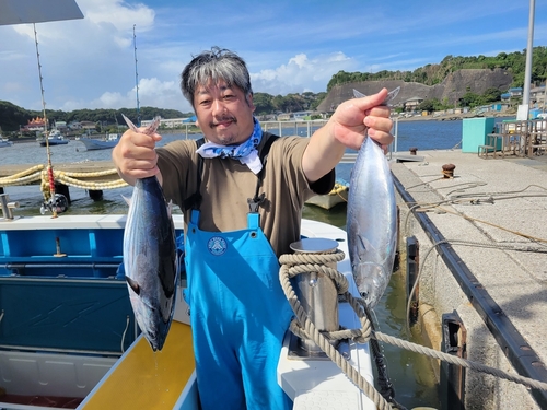 カツオの釣果