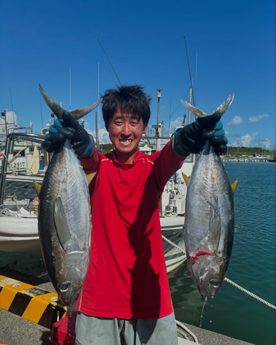 カツオの釣果