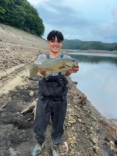 スモールマウスバスの釣果