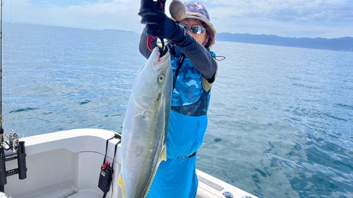 ハマチの釣果