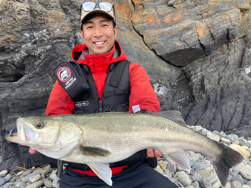 スズキの釣果