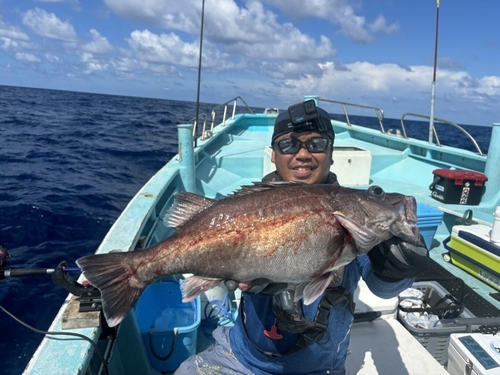 アラの釣果