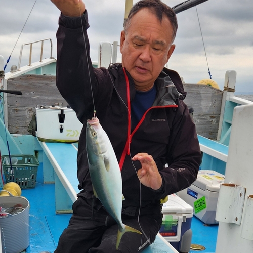 イナダの釣果