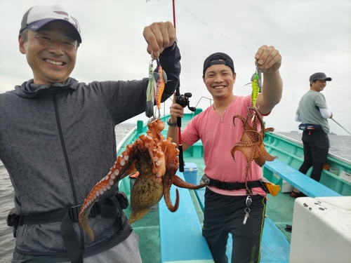 マダコの釣果