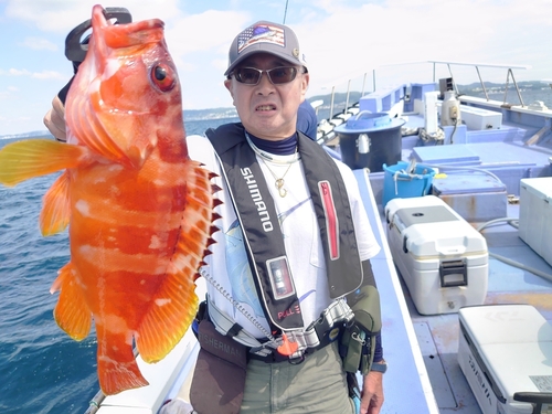 アカハタの釣果