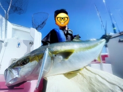 ヒラマサの釣果