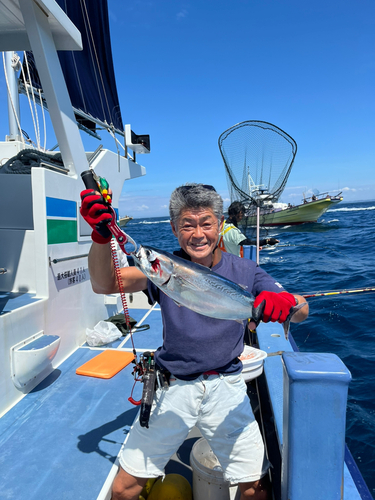 ソウダガツオの釣果