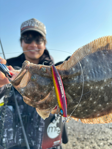 ヒラメの釣果