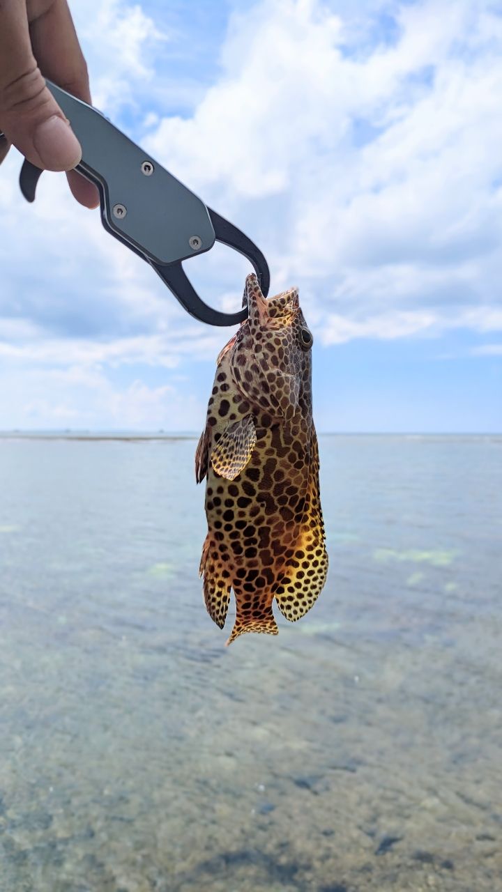 イシミーバイ