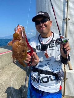 オニオコゼの釣果