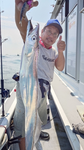 タチウオの釣果