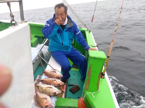 マダイの釣果