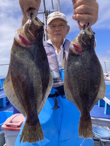 ヒラメの釣果