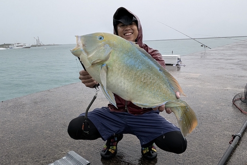 マクブの釣果