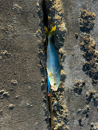 野辺地湾