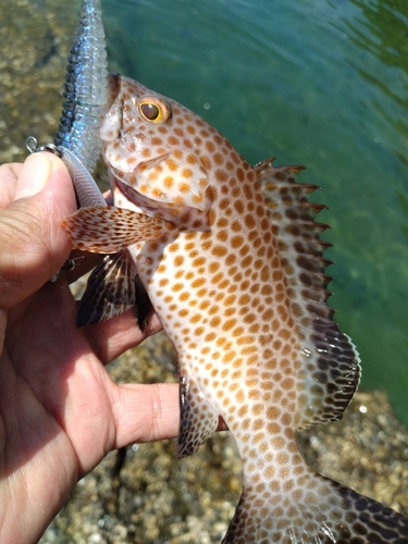 野見潮ばかり公園