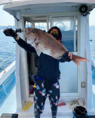 サゴシの釣果