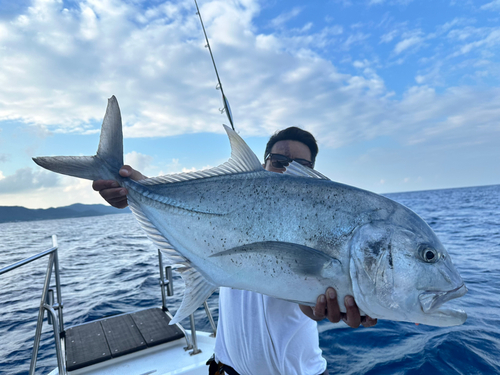 ロウニンアジの釣果