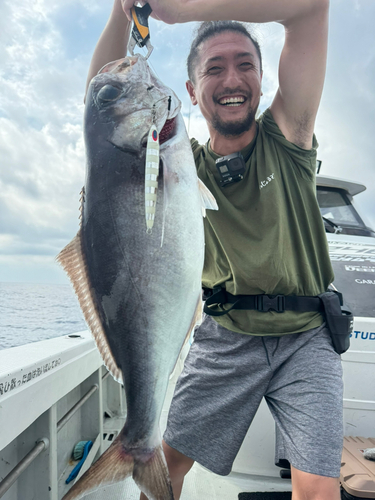 メダイの釣果