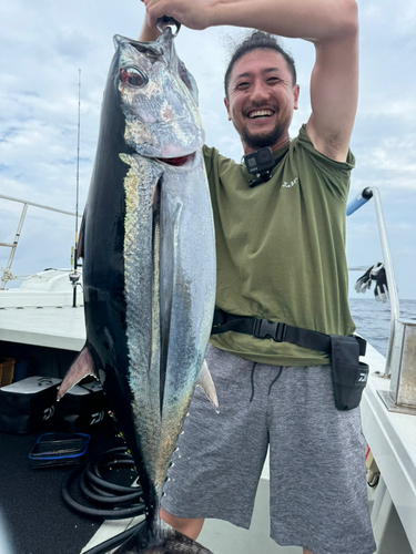 ビンチョウマグロの釣果