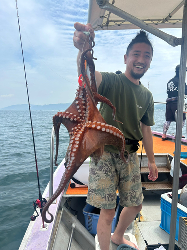 マダコの釣果