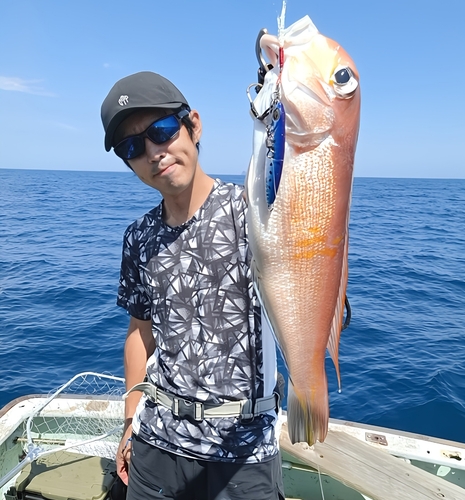 アマダイの釣果