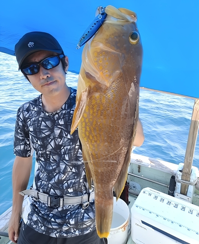 アオハタの釣果